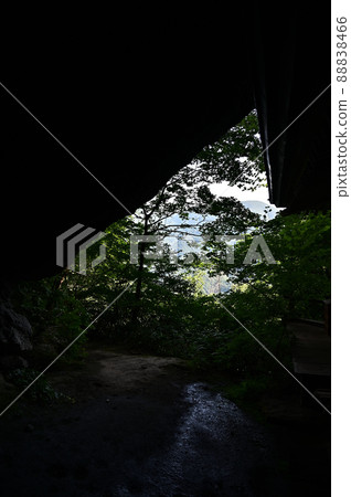 From Mitokuyama 88838466