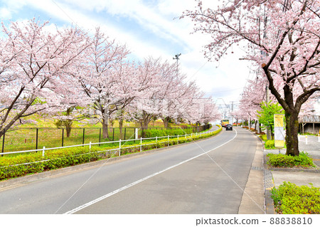 Koyama Babadori（東京都町田）[2022.4] 88838810