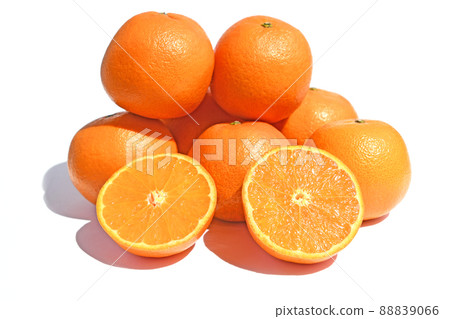 Citrus (tankan) Citrus (tankan) 88839066