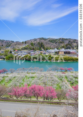 水壩湖和梅園景觀[長野市新州新町] 88839106