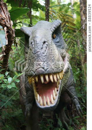 dinosaur dinosaur 88839524