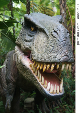 dinosaur dinosaur 88839525