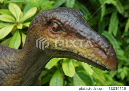 dinosaur dinosaur 88839526