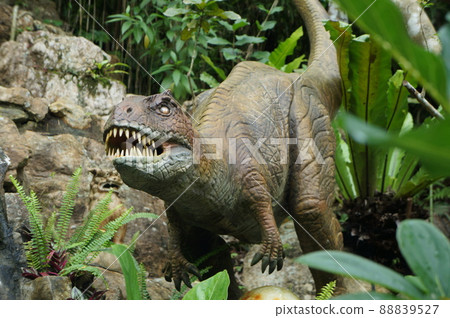 dinosaur dinosaur 88839527