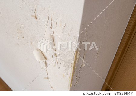 Tattered wallpaper Tattered wallpaper 88839947