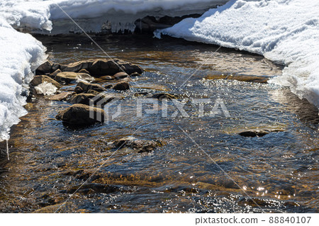 Nature of Western Ukraine. Mountains, rivers and forests. Shelter for war refugees. Departure from the occupied territories. War in Ukraine. 88840107