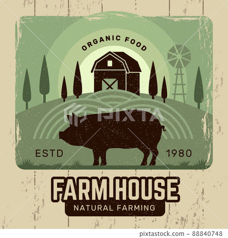 Farm poster. Village agricultural placard with countryside symbols recent vector stylized vintage template 88840748