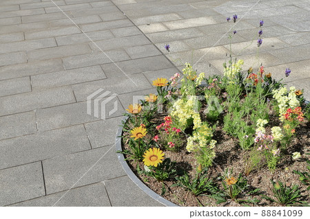 Spring flower bed Spring flower bed 88841099