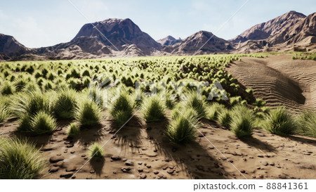 Stoney desert in outback Australia 88841361