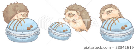 Hedgehog and macaroon 3 types set chocolate blue ver 88841619