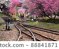 Watarase Valley Railway that runs through the flower peach 88841871
