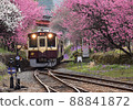 Watarase Valley Railway that runs through the flower peach 88841872