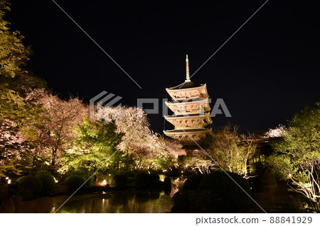 Toji night view 88841929