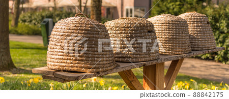 Lisse, Netherlands, April 2022. Close up of beehives on a shelf. Lisse, Netherlands, April 2022. Close up of beehives on a shelf. 88842175