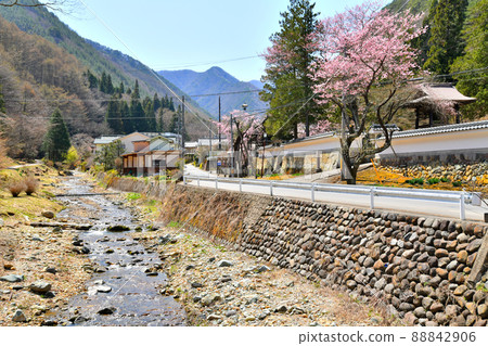 靈泉寺溫泉鄉（長野縣上田市）[2022.4] 88842906