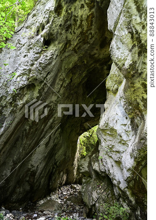 從Taishakukyo 從Taishakukyo 88843013