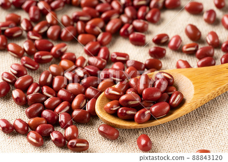 紅豆 紅豆 88843120