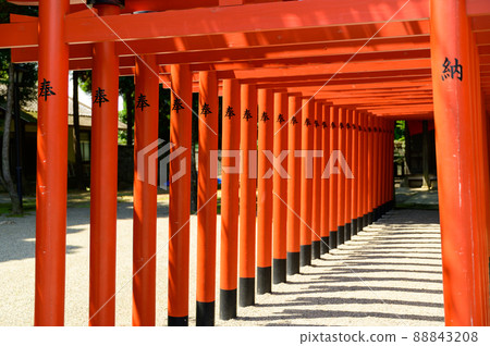 稻荷神社“新鮮綠色花園景觀”旅遊景點水前寺成天園日本，九州，熊本縣 88843208