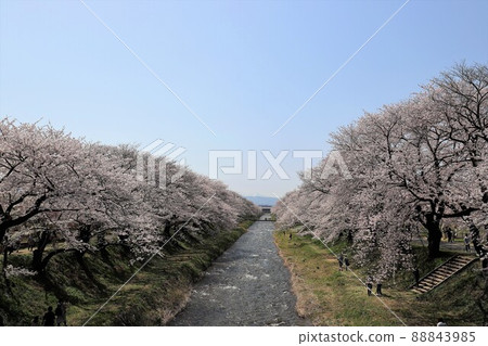 富山縣朝日船川春季四重奏 富山縣朝日船川春季四重奏 88843985