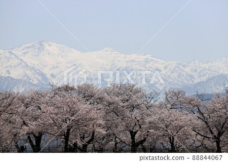 富山縣朝日船川春季四重奏 88844067