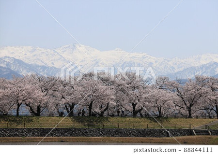 富山縣朝日船川春季四重奏 88844111