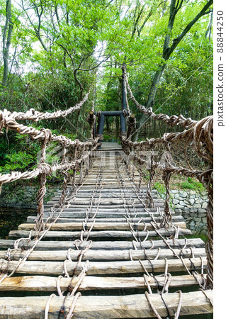 四國村 Kazura 橋(香川縣高松市) 四國村 Kazura 橋(香川縣高松市) 88844250