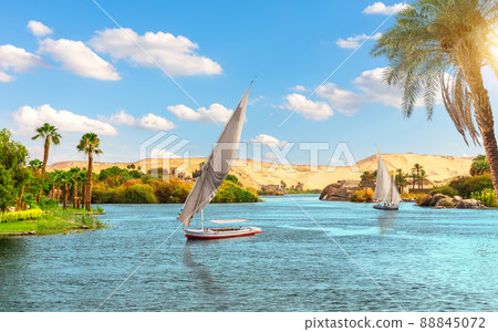 Traditional view of Aswan, the sailboats in the Nile behind the palm, Egypt, Africa Traditional view of Aswan, the sailboats in the Nile behind the palm, Egypt, Africa 88845072