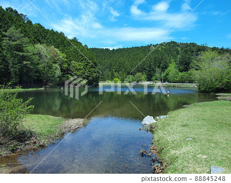 Scenery of the back valley in spring 88845248