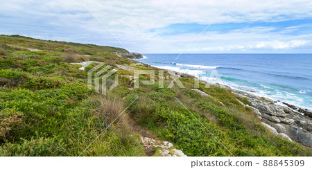 Coastline View, Oyambre Natural Park, Cantabria, Spain Coastline View, Oyambre Natural Park, Cantabria, Spain 88845309