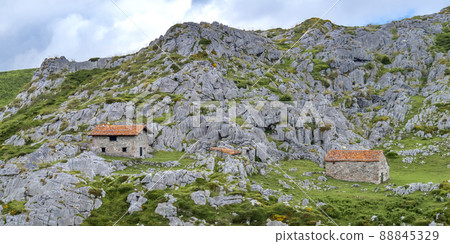 Collado Pandebano, Picos de Europa National Park, Asturias, Spain 88845329