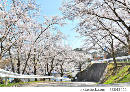 別所溫泉溫泉街/常樂寺附近（長野縣上田市）[2022.4] 88845431