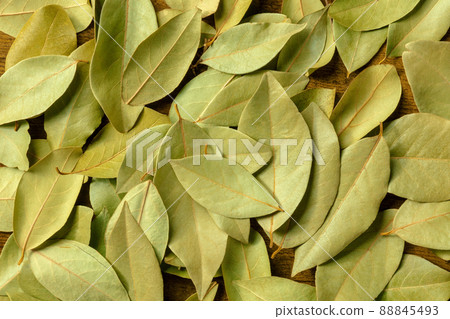 Dry bay leaves texture. Laurel leaf background 88845493