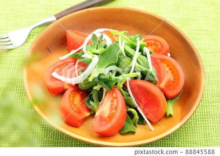 Ice plant and tomato salad 88845588
