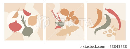 Abstract kitchen spices cards. Plants silhouettes, modern decorative posters with vegetables. Doodle elements, spring summer vegan neat vector banner 88845888
