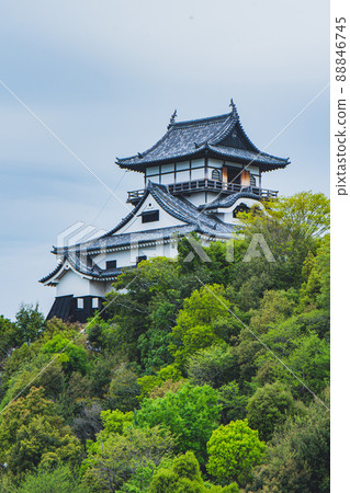 犬山城 犬山城 88846745
