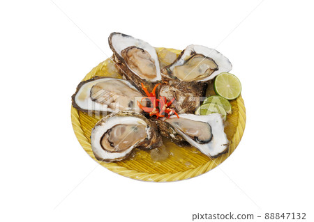 Raw oysters decorated in a plate with a white background Raw oysters decorated in a plate with a white background 88847132