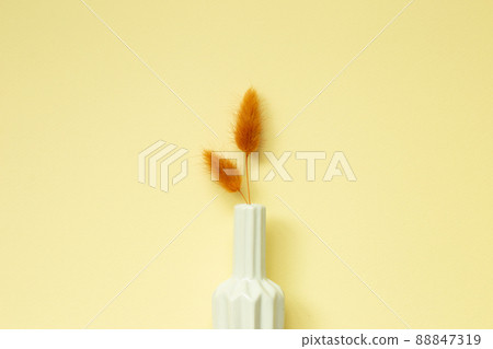 White vase of orange Lagurus ovatus tail grass on yellow background. top view, copy space 88847319