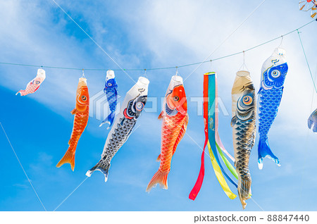 Koi swimming in blue sky 88847440