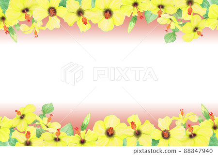 Hand drawn illustration frame of yellow hibiscus flowers, buds, leaves, branches 88847940