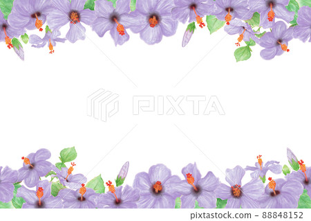 Hand drawn illustration frame of blue hibiscus flowers, buds, leaves, branches 88848152