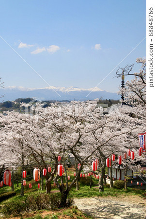 足立原故鄉村的櫻花(福島縣二本松市) 足立原故鄉村的櫻花(福島縣二本松市) 88848766