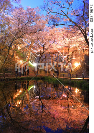 Sakura in Takato Castle Ruins Park, Nagano Prefecture 88849678