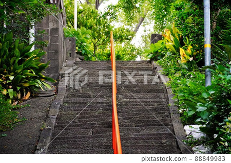 綠樹環繞的樓梯 綠樹環繞的樓梯 88849983
