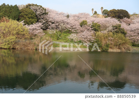 愛媛縣二見潮彩親友公園 88850539