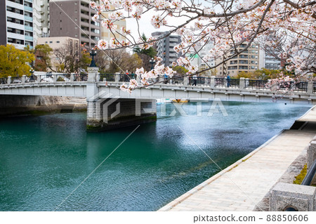 It is the scenery of the Peace Memorial Park in spring. The cherry blossoms are about to be in full bloom. Please have a bright atmosphere. Hiroshima Prefecture It is the scenery of the Peace Memorial Park in spring. The cherry blossoms are about to be in full bloom. Please have a bright atmosphere. Hiroshima Prefecture 88850606