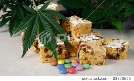 Homemade pie and powdered sugar with CBD oil. Cannabis kitchen Homemade pie and powdered sugar with CBD oil. Cannabis kitchen 88850690