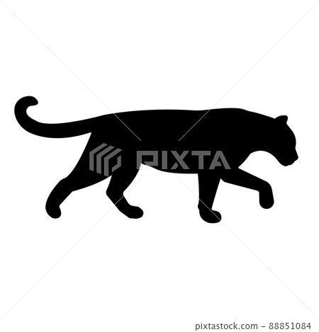 Vector leopard silhouette Vector leopard silhouette 88851084