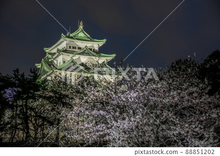 <<愛知縣>>名古屋城櫻花夜景 88851202