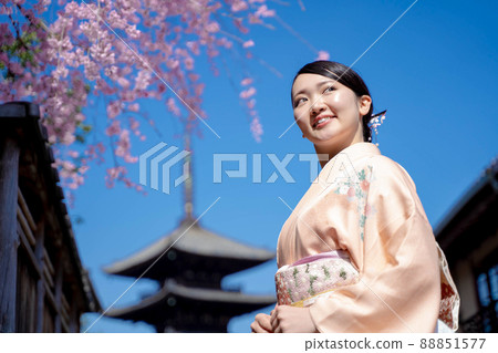 和服女人和櫻花京都 和服女人和櫻花京都 88851577