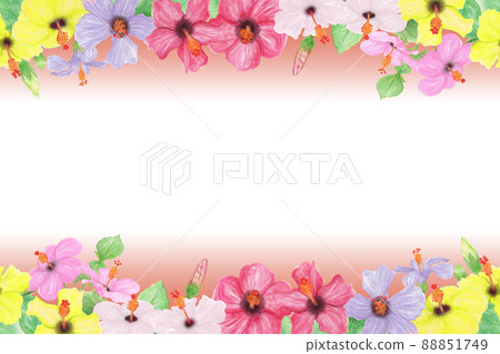 Hand drawn illustration frame of hibiscus flowers, buds, leaves and branches of various colors 88851749